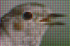 05_Vogel