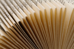 Buch_013_e